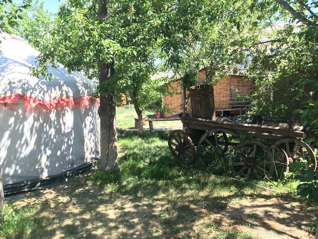 Arista Yurt Camp Hotel Karakol Room photo